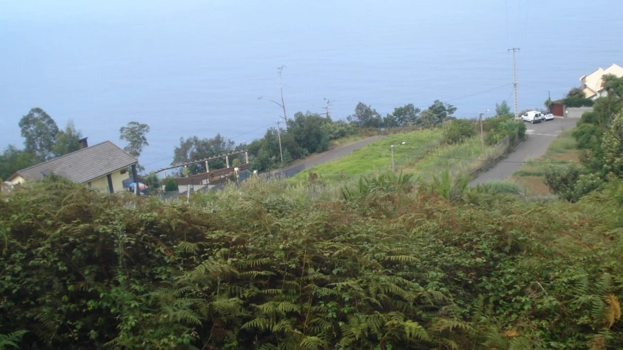 Terreno para Venda em São Jorge