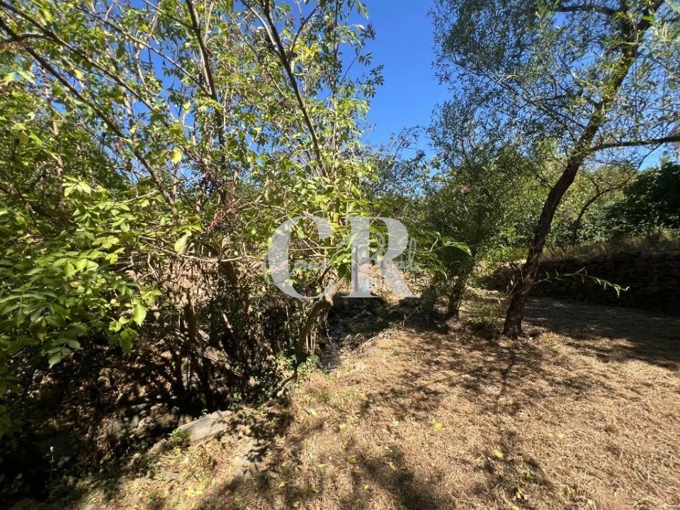 Moradia T2 para Venda em Graça Foto 54