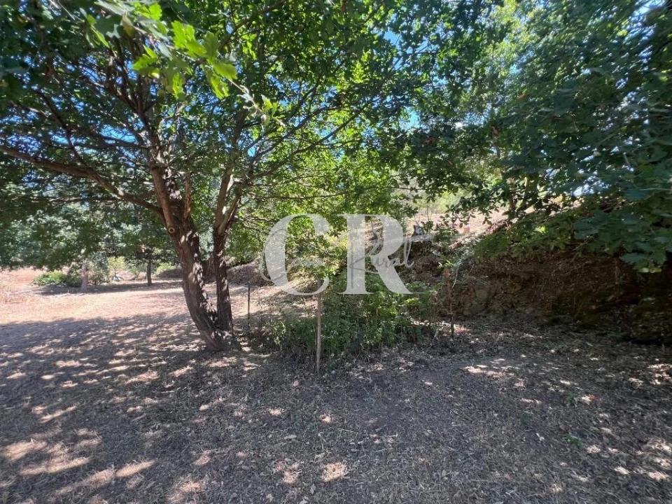 Moradia T2 para Venda em Graça Foto 52