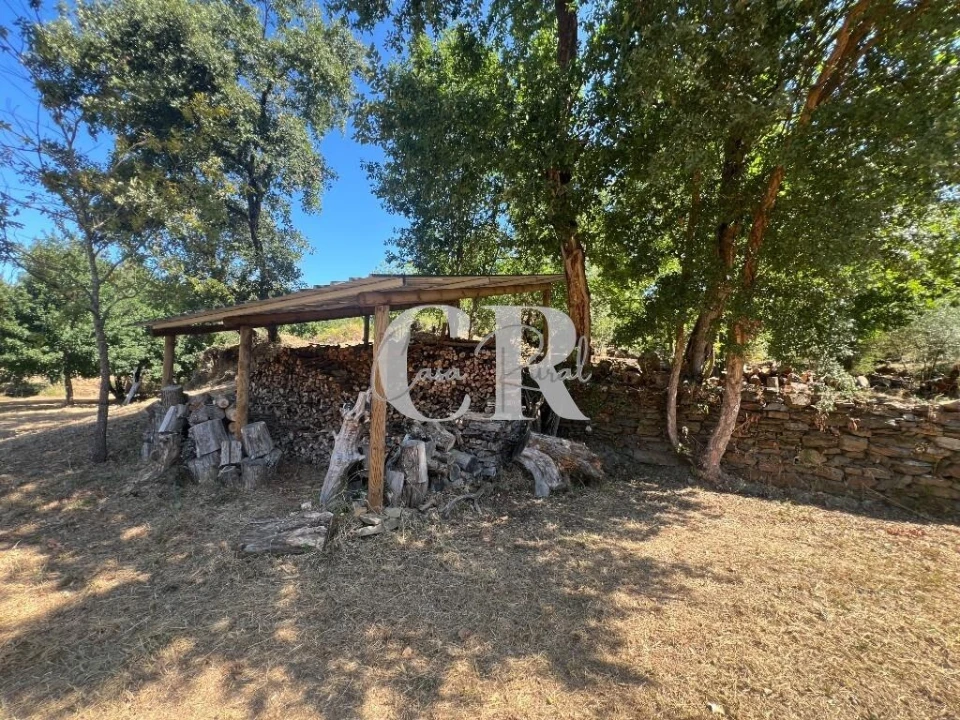 Moradia T2 para Venda em Graça Foto 50