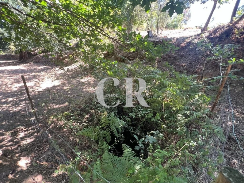 Moradia T2 para Venda em Graça Foto 53