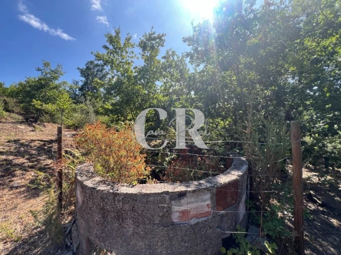 Moradia T2 para Venda em Graça Foto 58