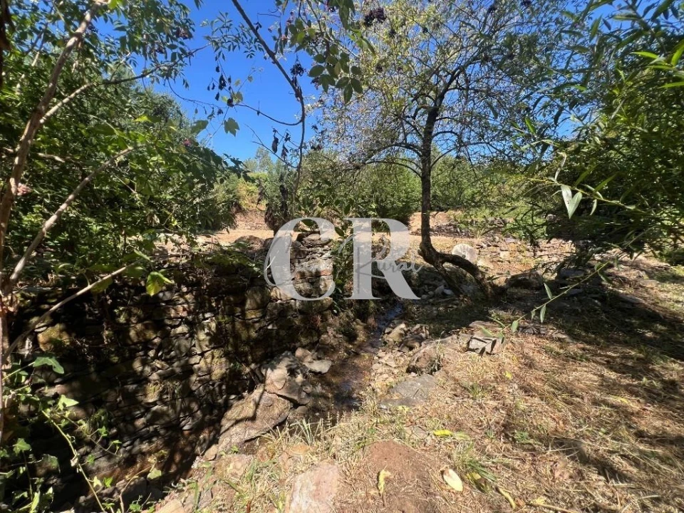 Moradia T2 para Venda em Graça Foto 55