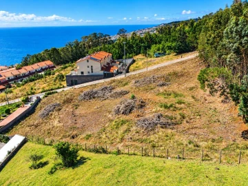 Terreno para Venda em Santa Cruz