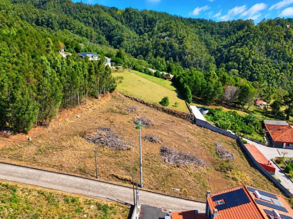 Terreno para Venda em Santa Cruz Foto 9