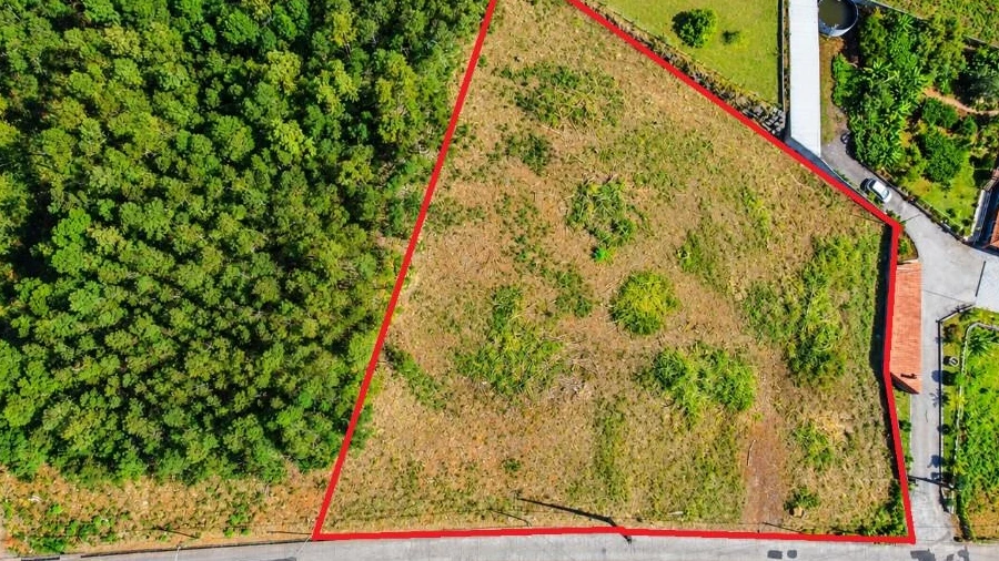 Terreno para Venda em Santa Cruz