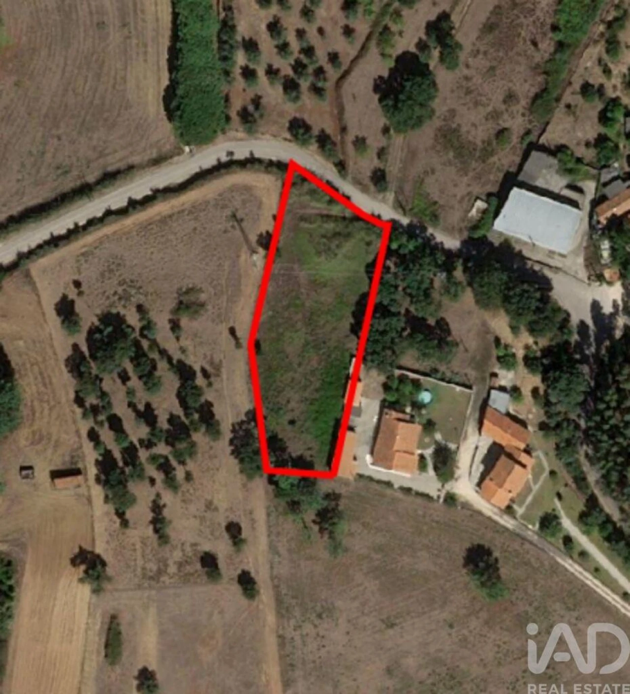 Terreno para Venda em Aljubarrota Foto 2