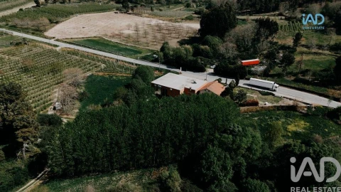 Negócio para Venda em Sever