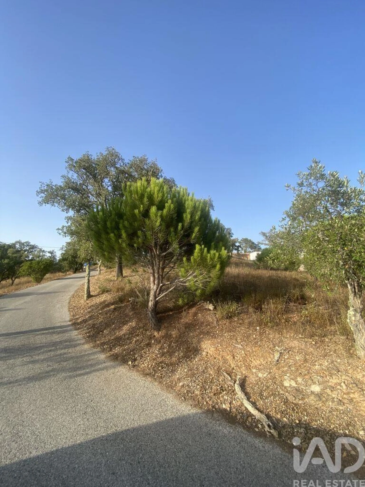 Terreno para Venda em São Brás de Alportel Foto 36