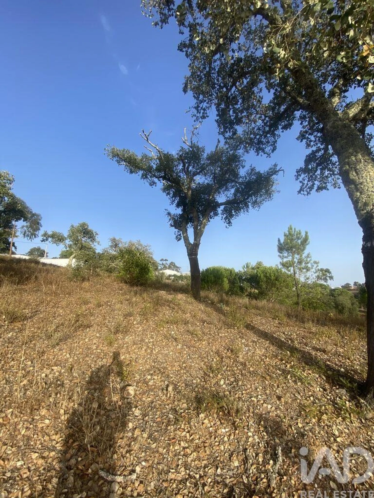 Terreno para Venda em São Brás de Alportel Foto 34
