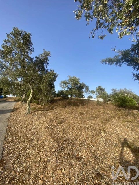 Terreno para Venda em São Brás de Alportel