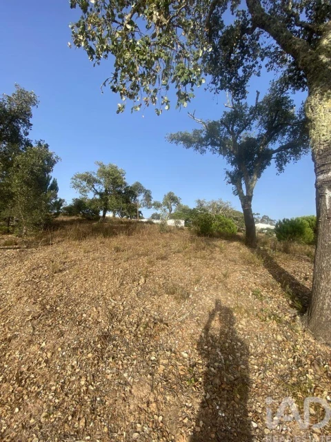 Terreno para Venda em São Brás de Alportel