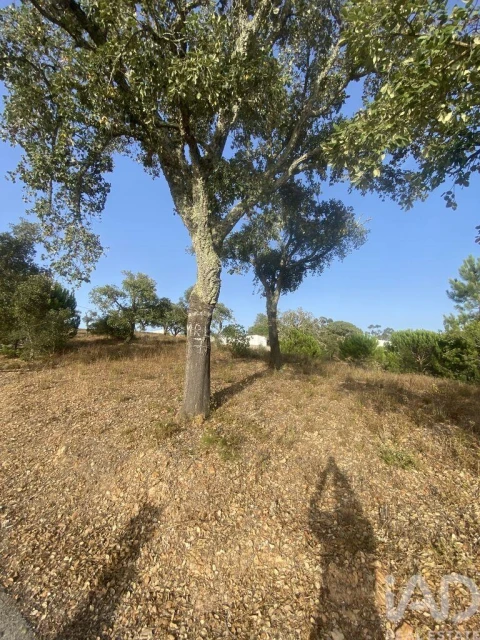 Terreno para Venda em São Brás de Alportel