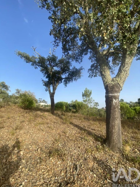 Terreno para Venda em São Brás de Alportel