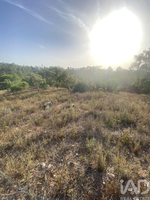 Terreno para Venda em São Brás de Alportel