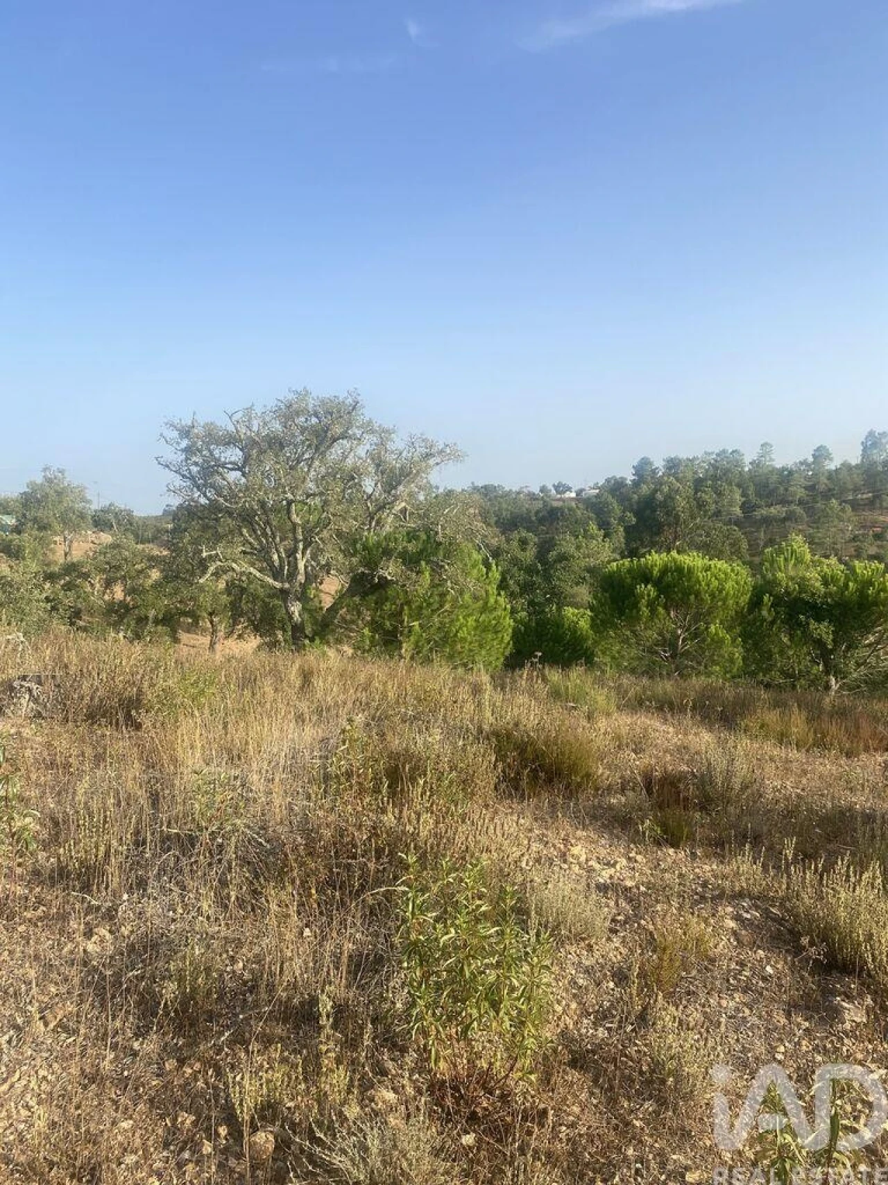 Terreno para Venda em São Brás de Alportel Foto 22