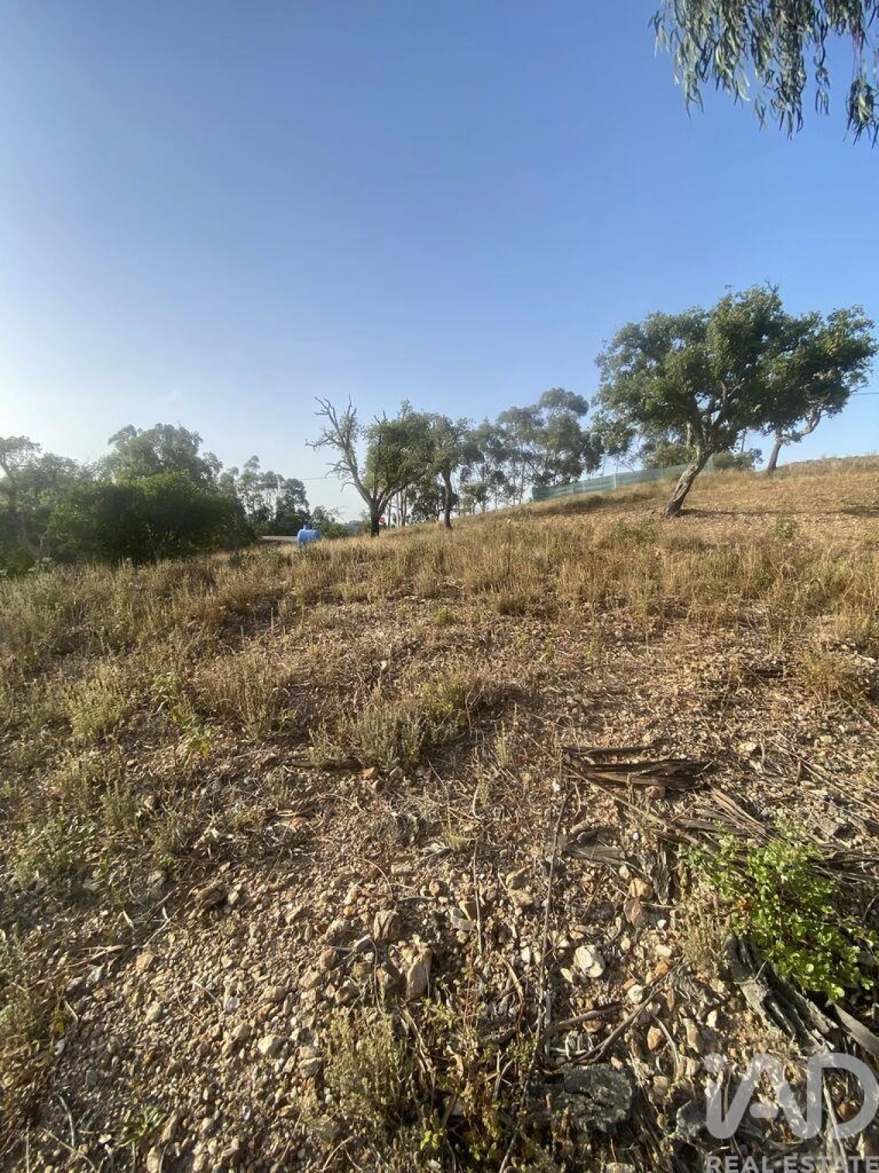 Terreno para Venda em São Brás de Alportel Foto 28