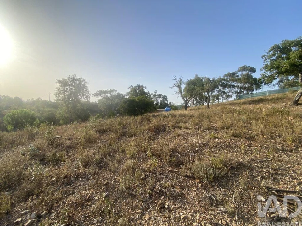 Terreno para Venda em São Brás de Alportel Foto 6