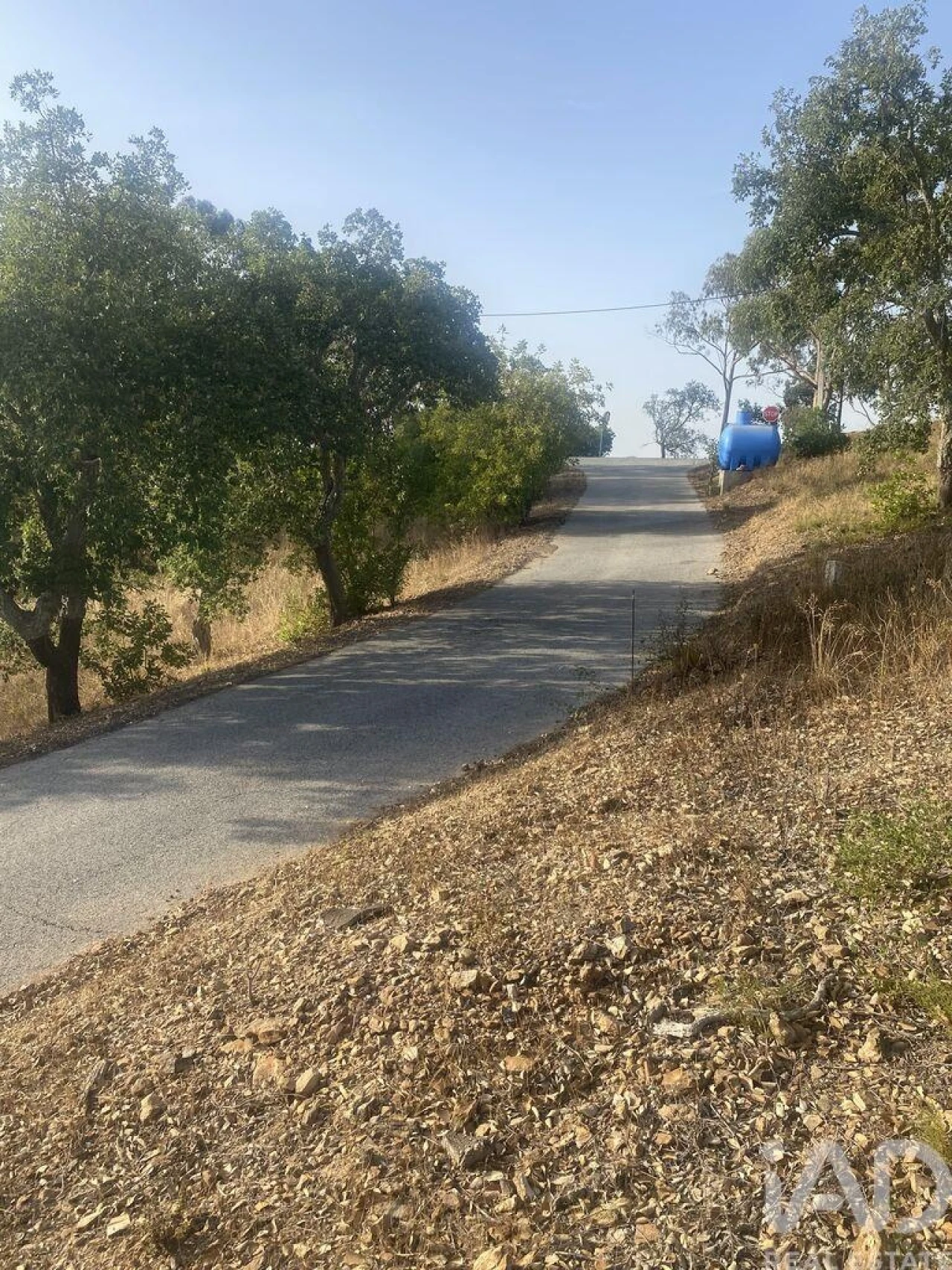 Terreno para Venda em São Brás de Alportel Foto 20