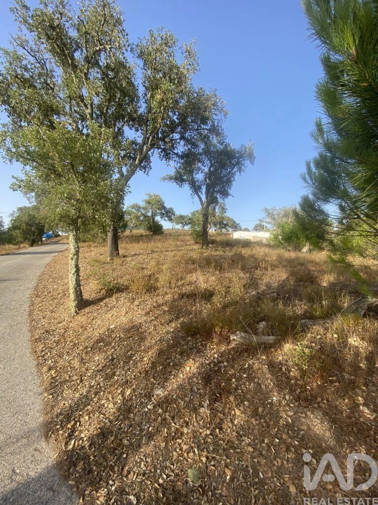 Terreno para Venda em São Brás de Alportel Foto 35