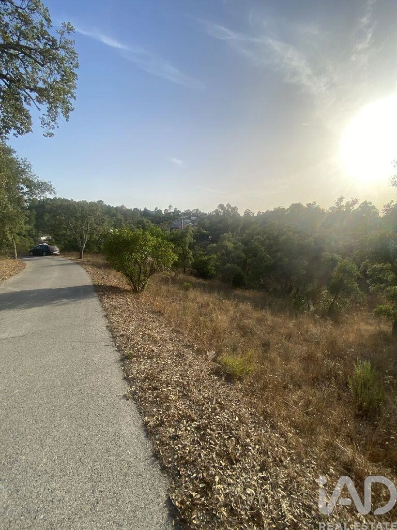 Terreno para Venda em São Brás de Alportel Foto 4