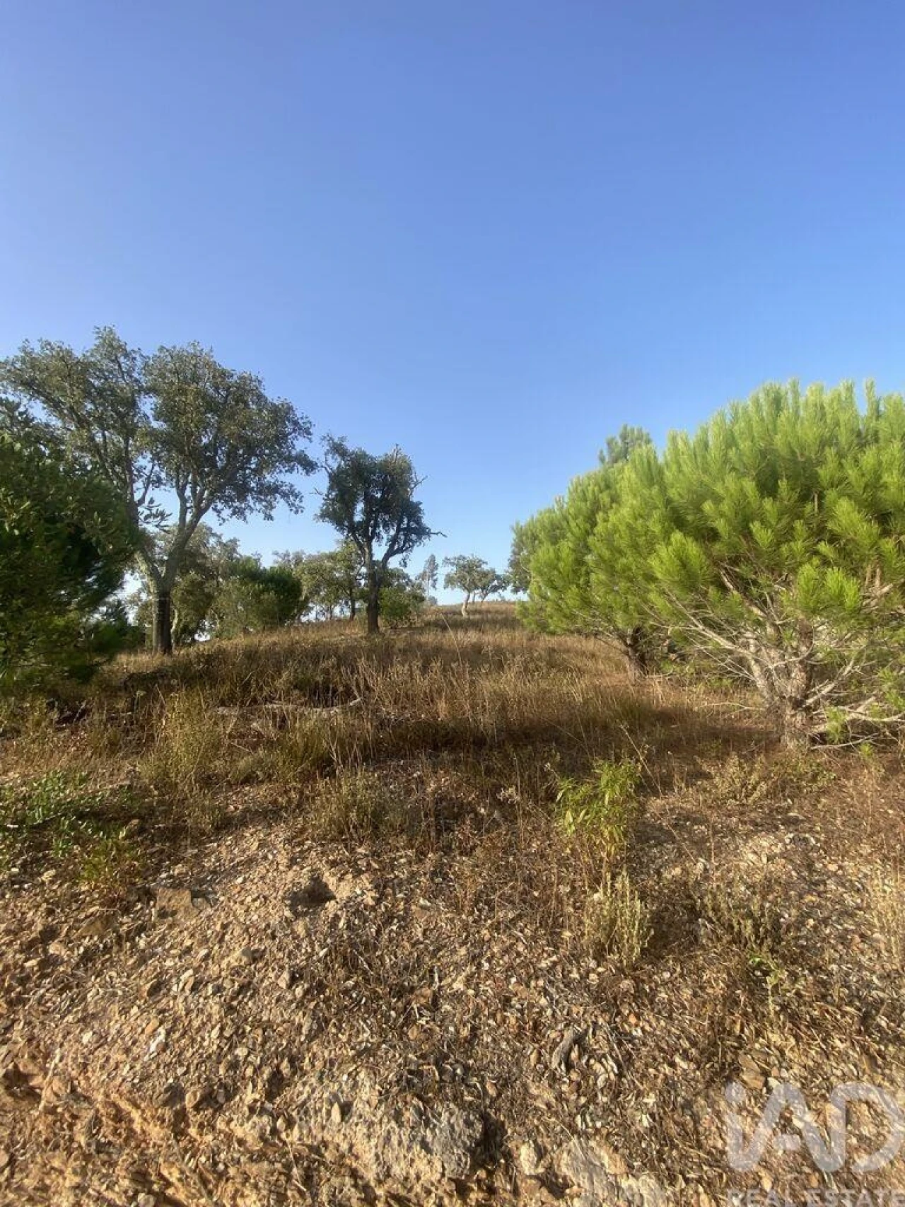 Terreno para Venda em São Brás de Alportel Foto 29