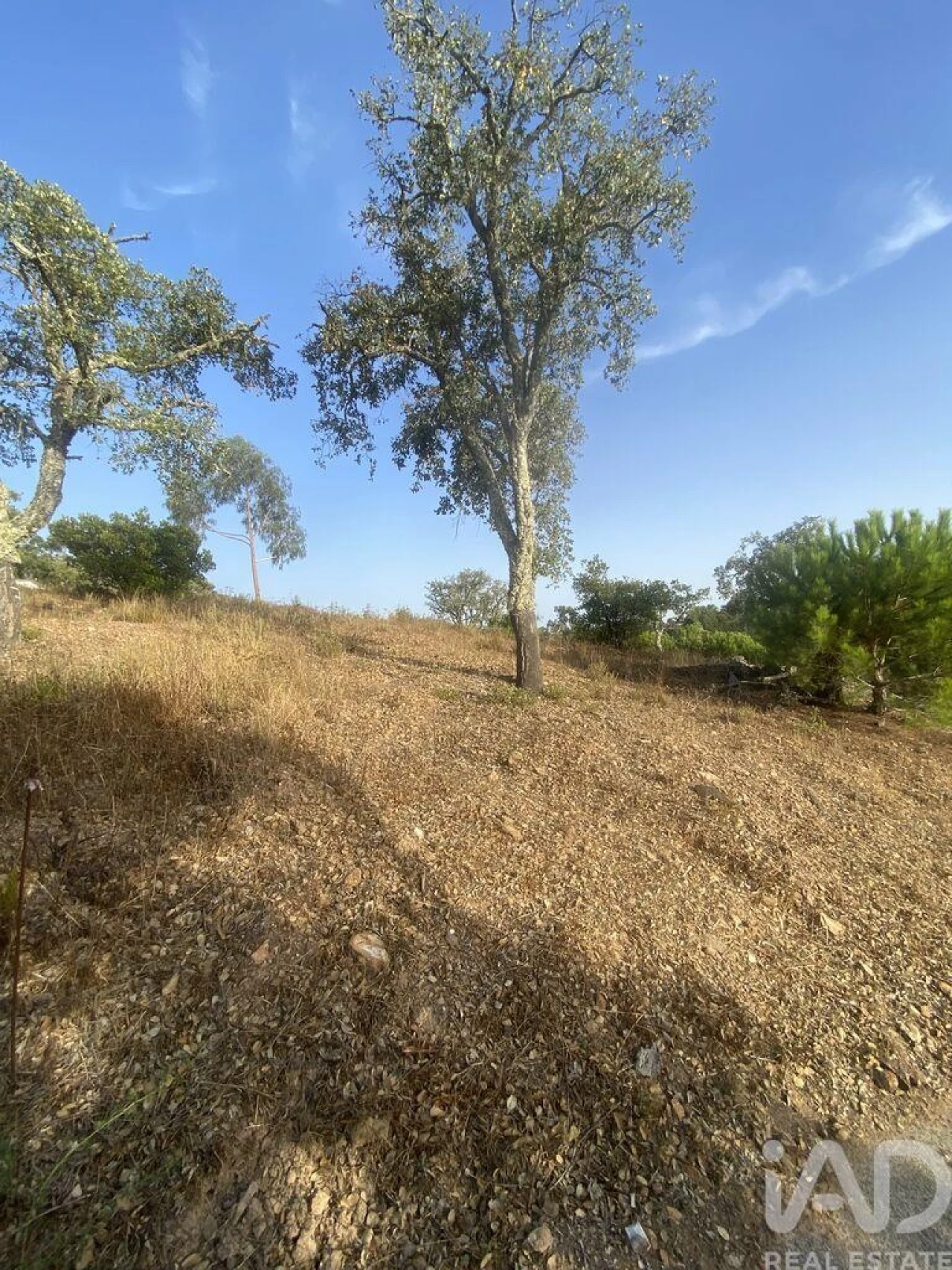 Terreno para Venda em São Brás de Alportel Foto 23