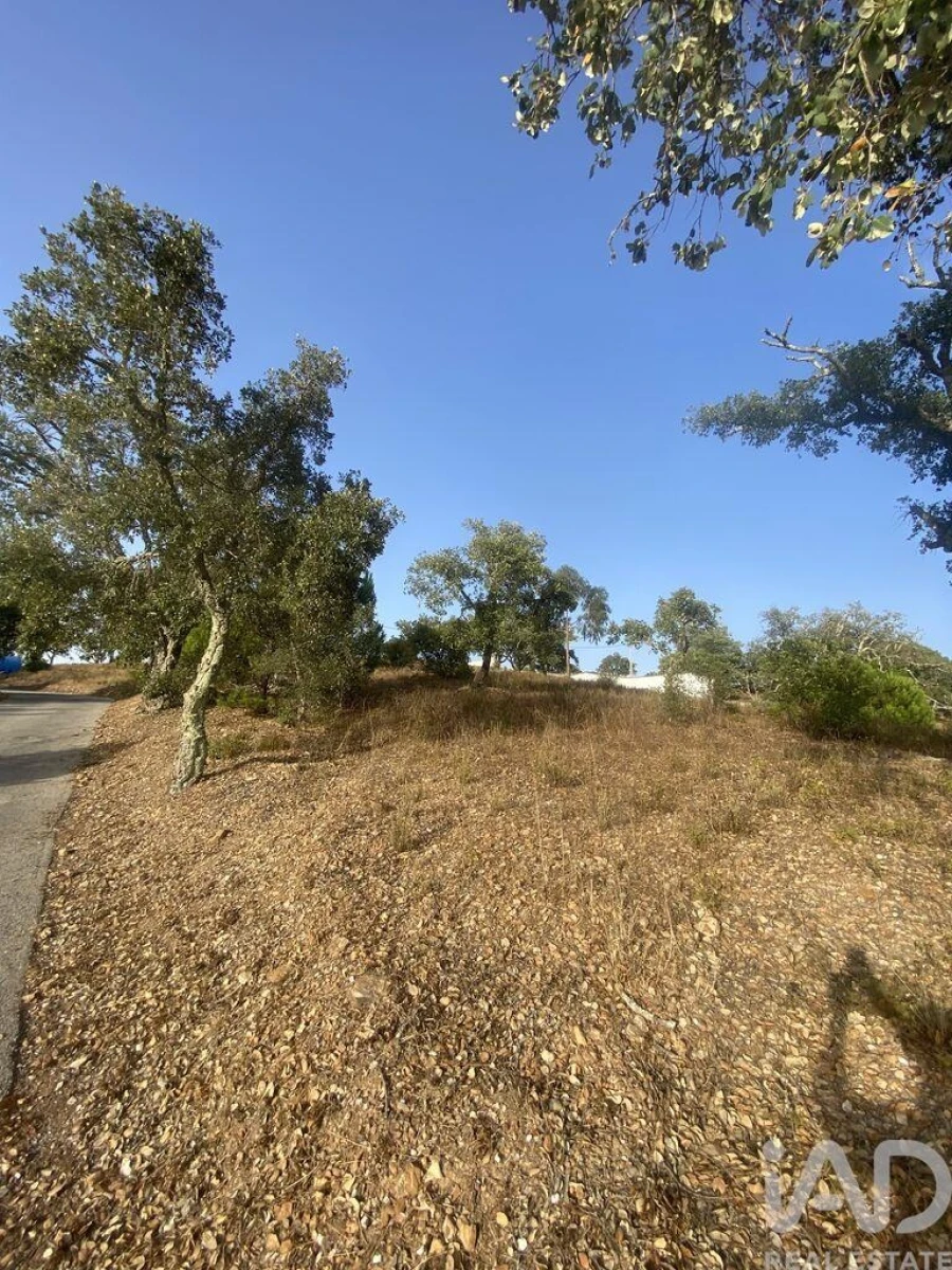 Terreno para Venda em São Brás de Alportel Foto 16