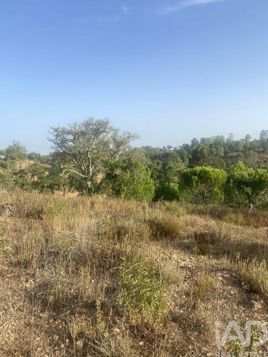 Terreno para Venda em São Brás de Alportel Foto 22