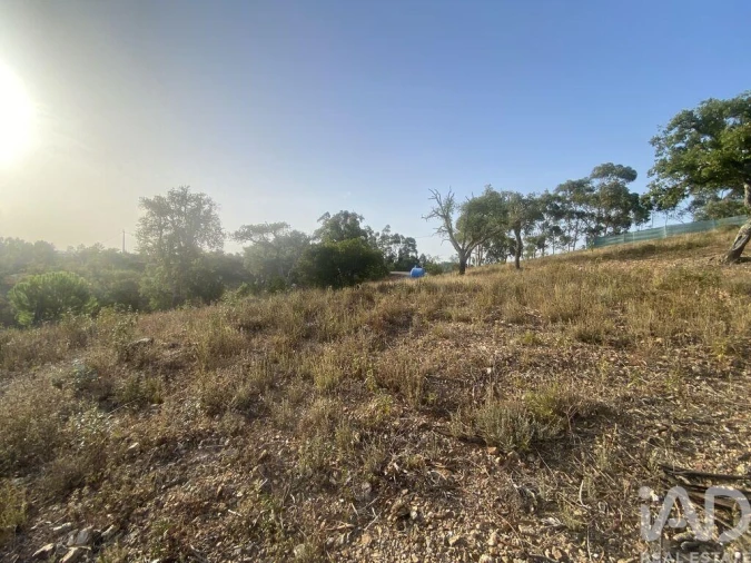Terreno para Venda em São Brás de Alportel Foto 6