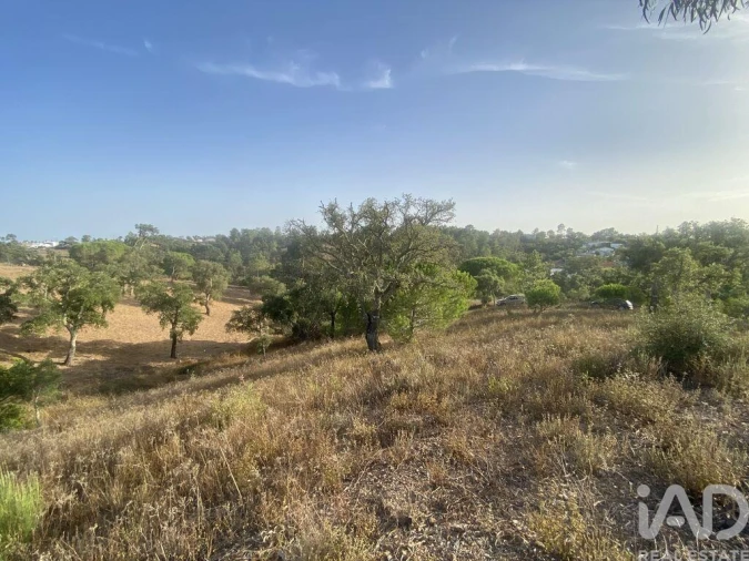 Terreno para Venda em São Brás de Alportel Foto 27