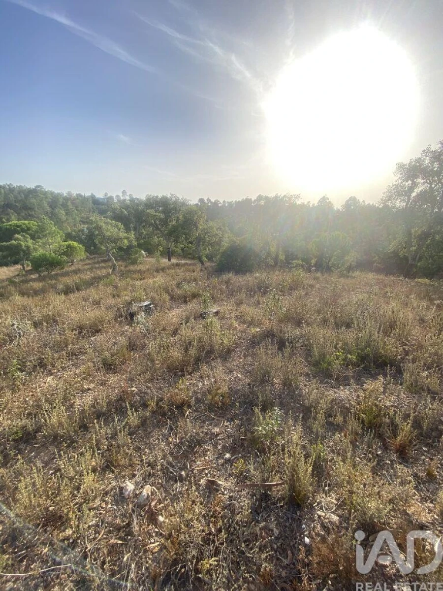 Terreno para Venda em São Brás de Alportel Foto 19