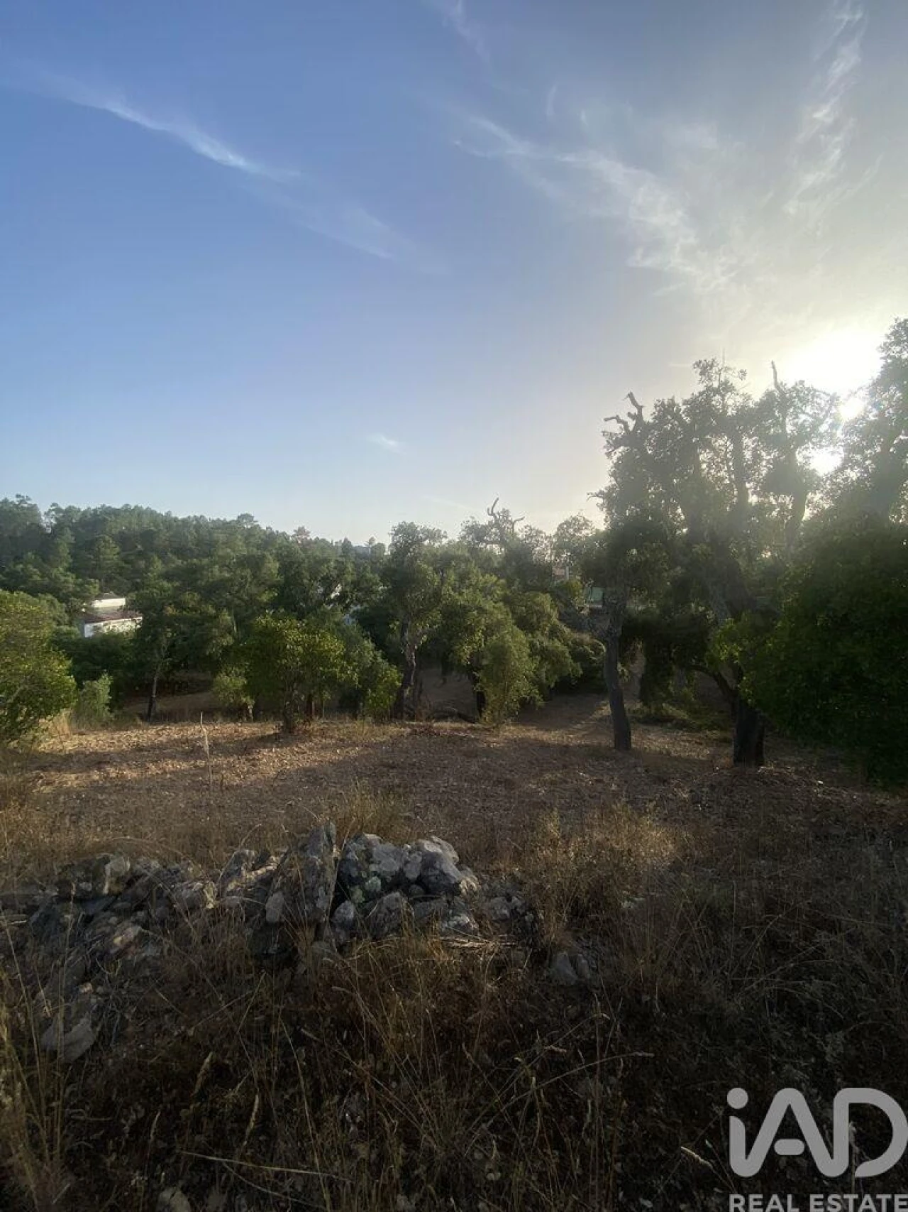 Terreno para Venda em São Brás de Alportel Foto 33