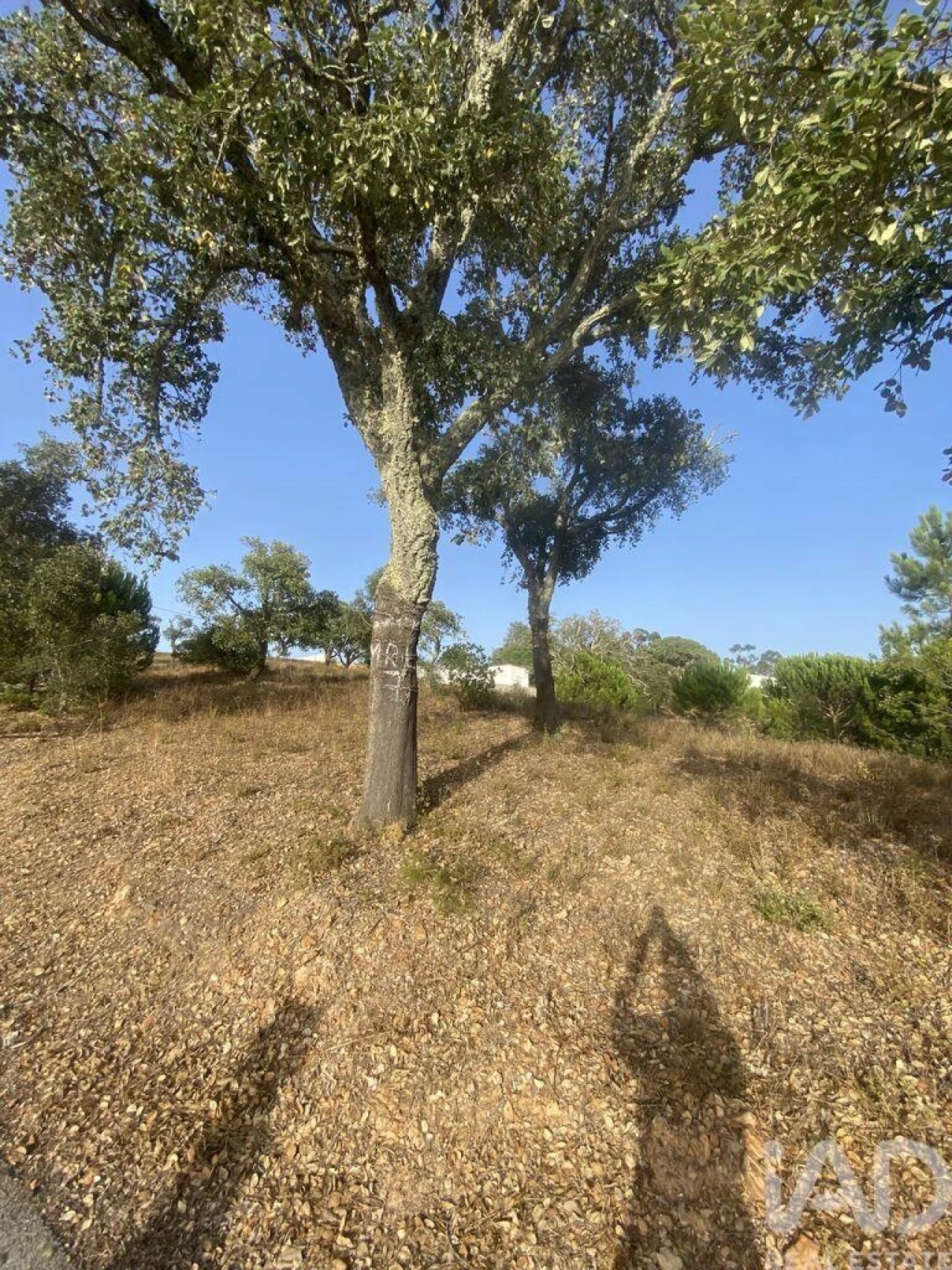 Terreno para Venda em São Brás de Alportel Foto 30