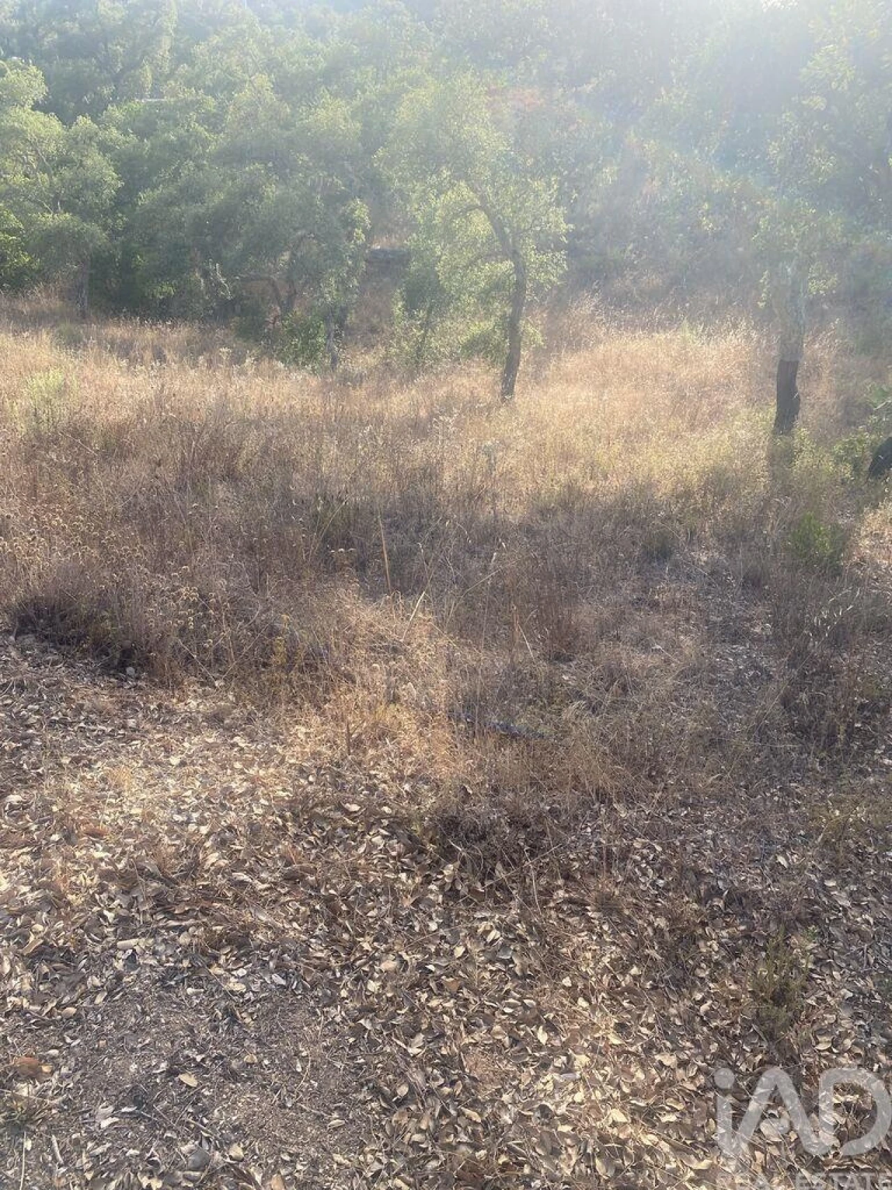 Terreno para Venda em São Brás de Alportel Foto 25