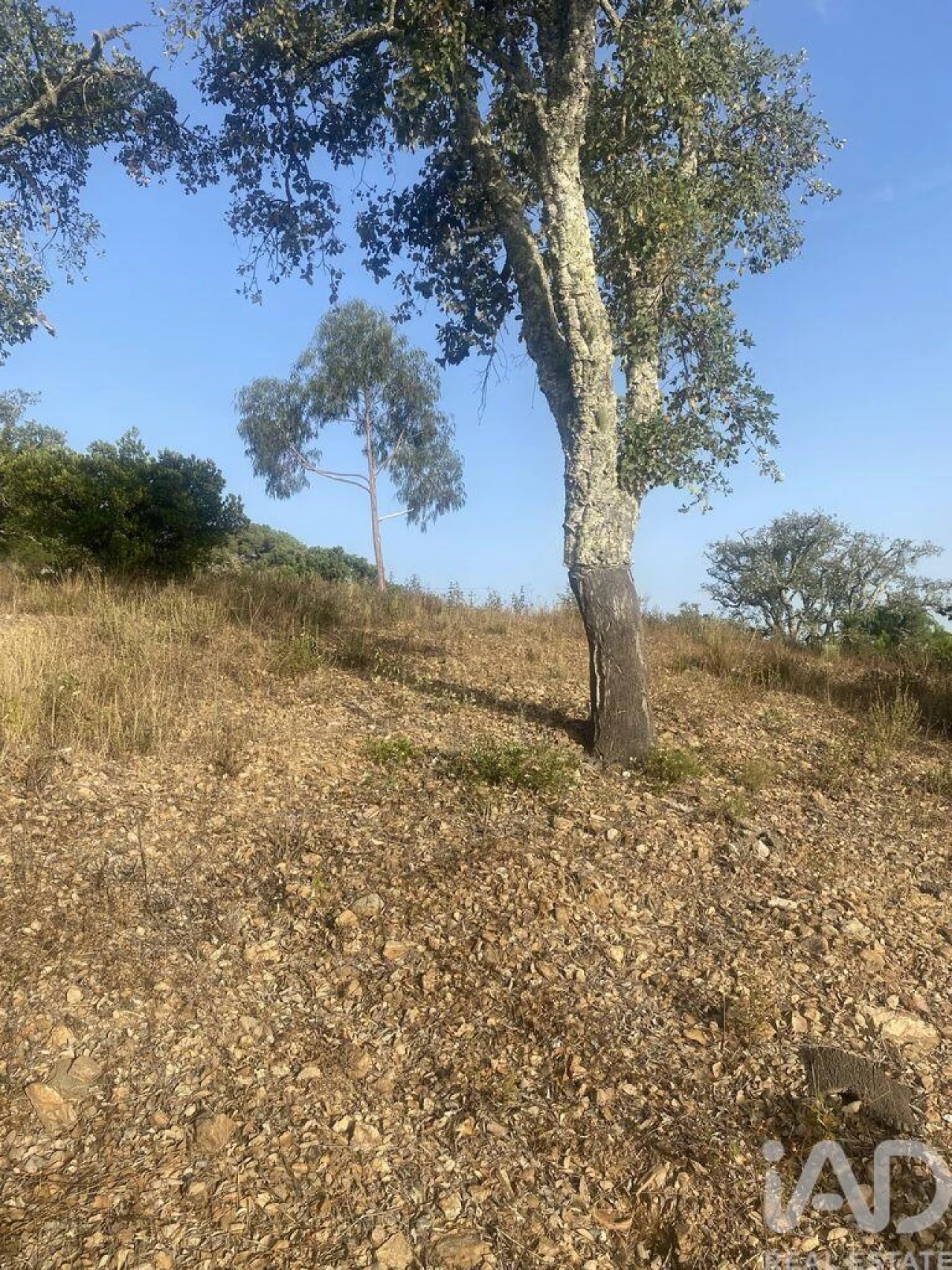 Terreno para Venda em São Brás de Alportel Foto 24