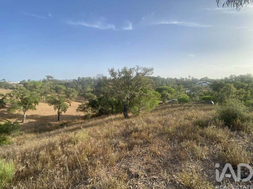 Terreno para Venda em São Brás de Alportel Foto 27