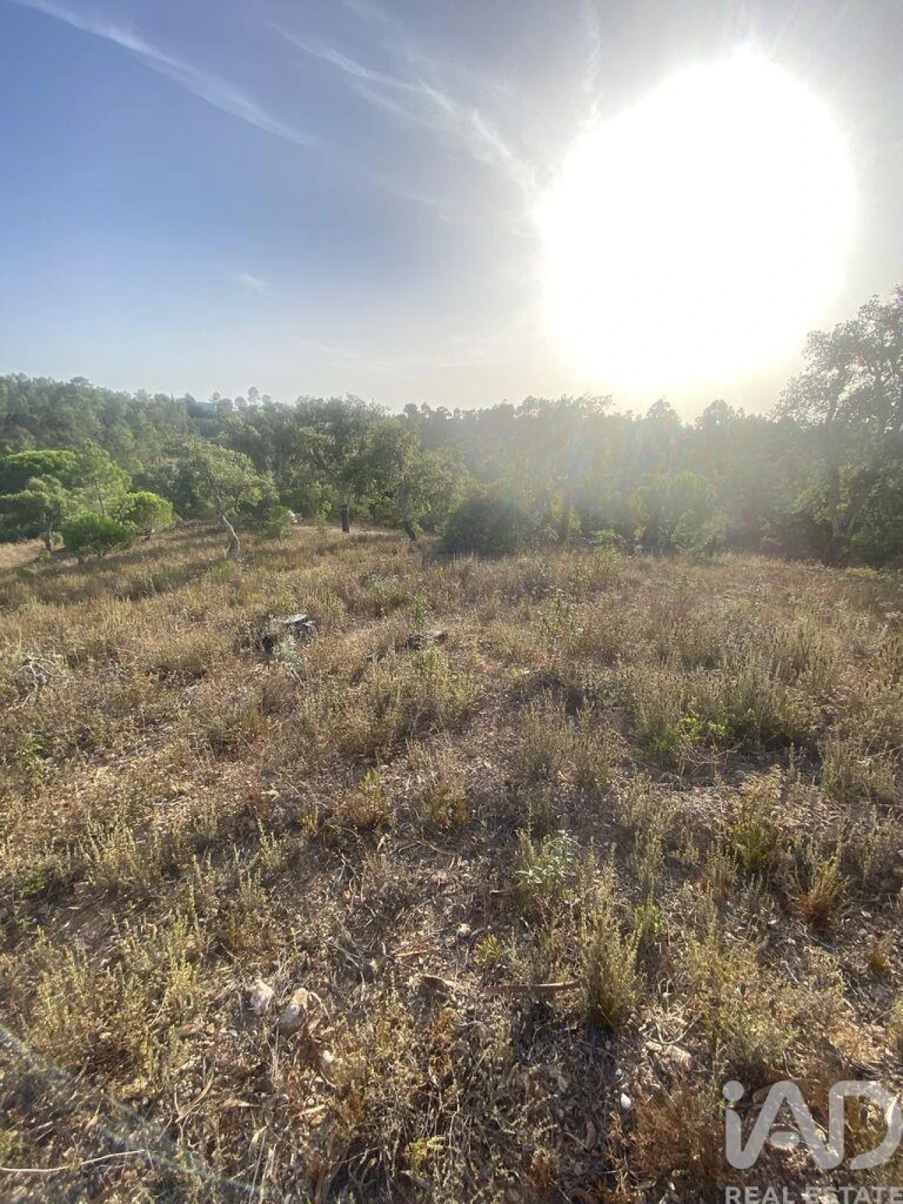 Terreno para Venda em São Brás de Alportel Foto 19