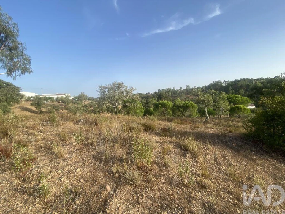 Terreno para Venda em São Brás de Alportel Foto 21