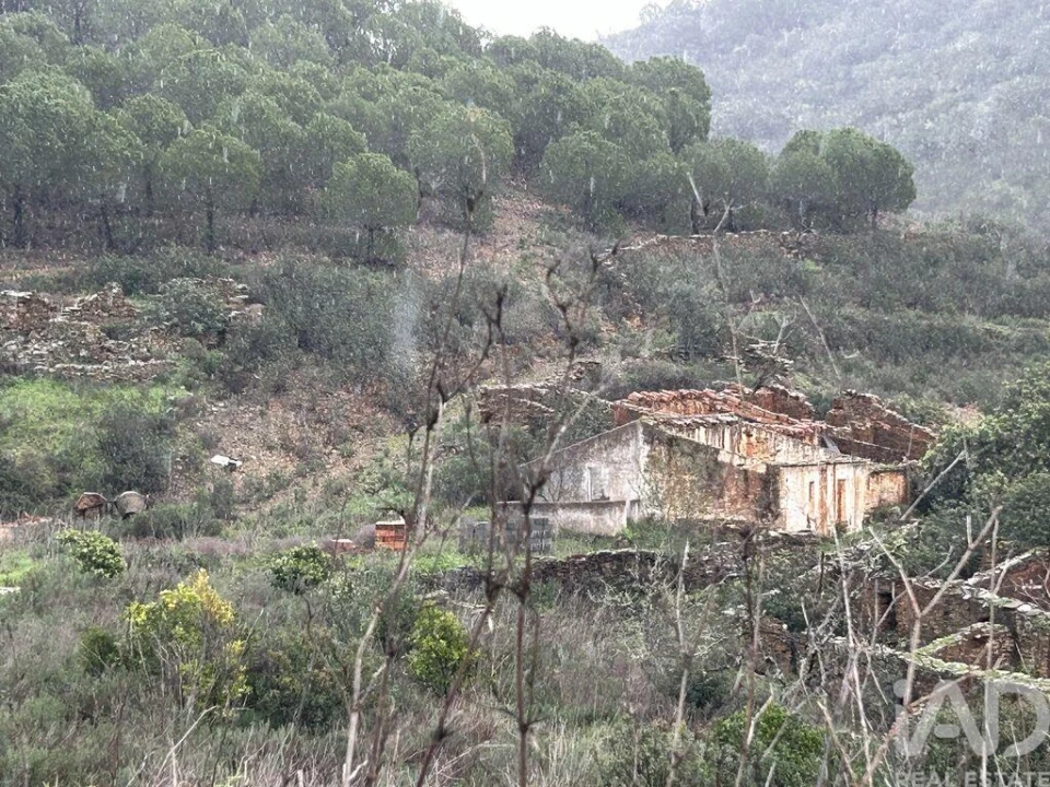 Quinta para Venda em Cachopo Foto 16