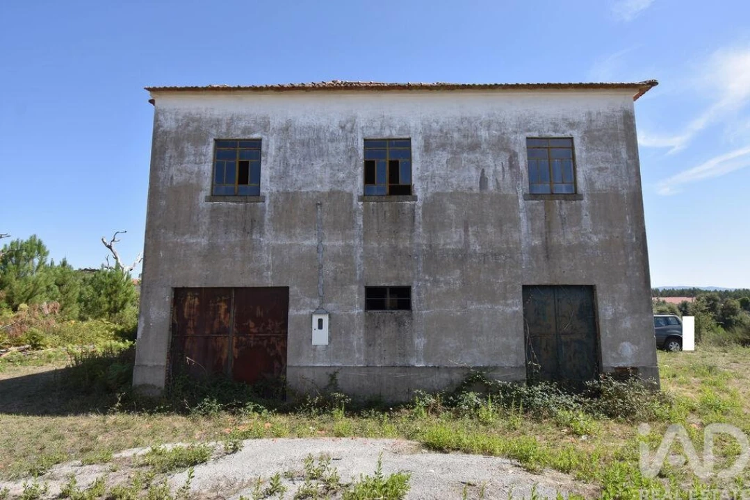 Quinta T3 para Venda em Graça Foto 3