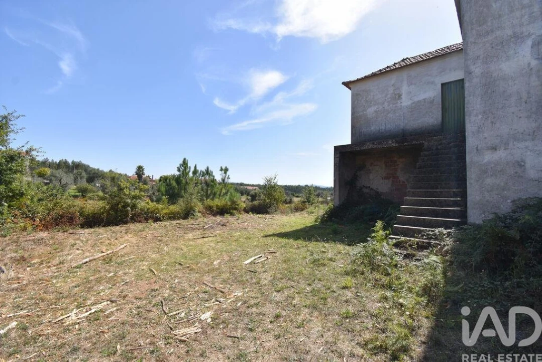 Quinta T3 para Venda em Graça Foto 6