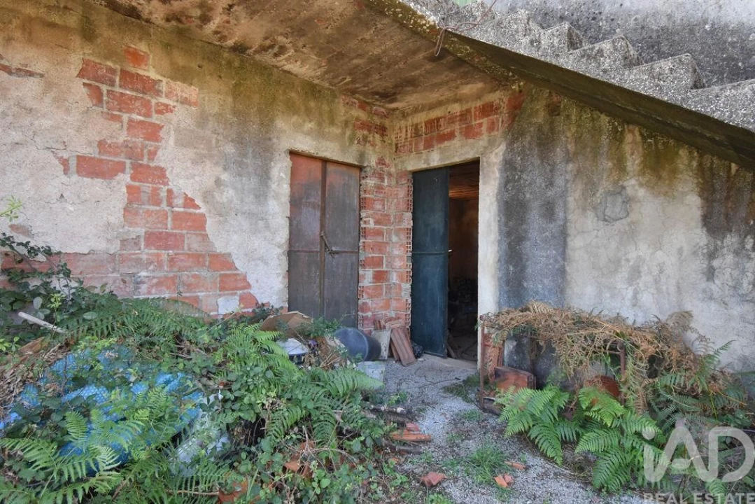 Quinta T3 para Venda em Graça Foto 20