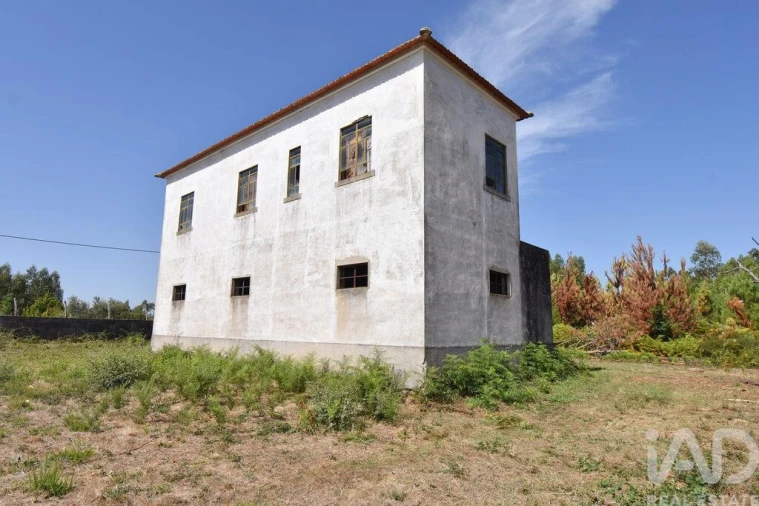 Quinta T3 para Venda em Graça Foto 25