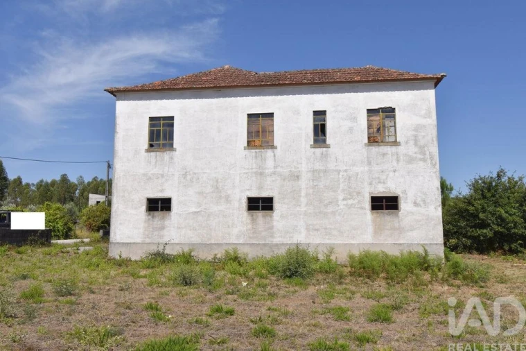 Quinta T3 para Venda em Graça Foto 26