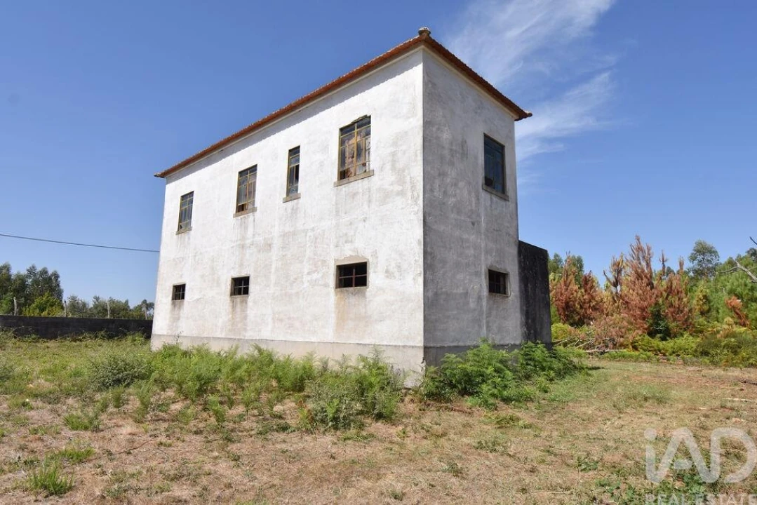 Quinta T3 para Venda em Graça Foto 25