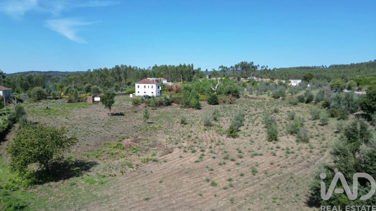 Quinta T3 para Venda em Graça Foto 39