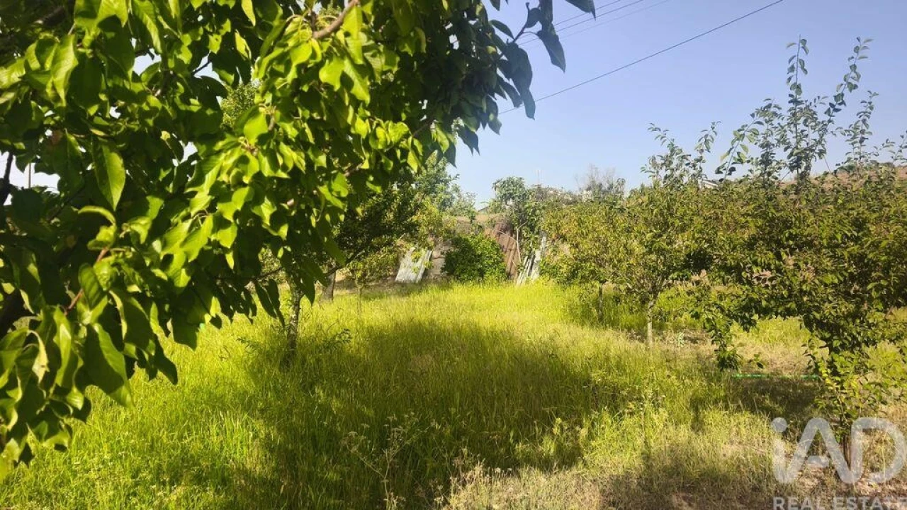 Terreno para Venda em Seixo da Beira Foto 23