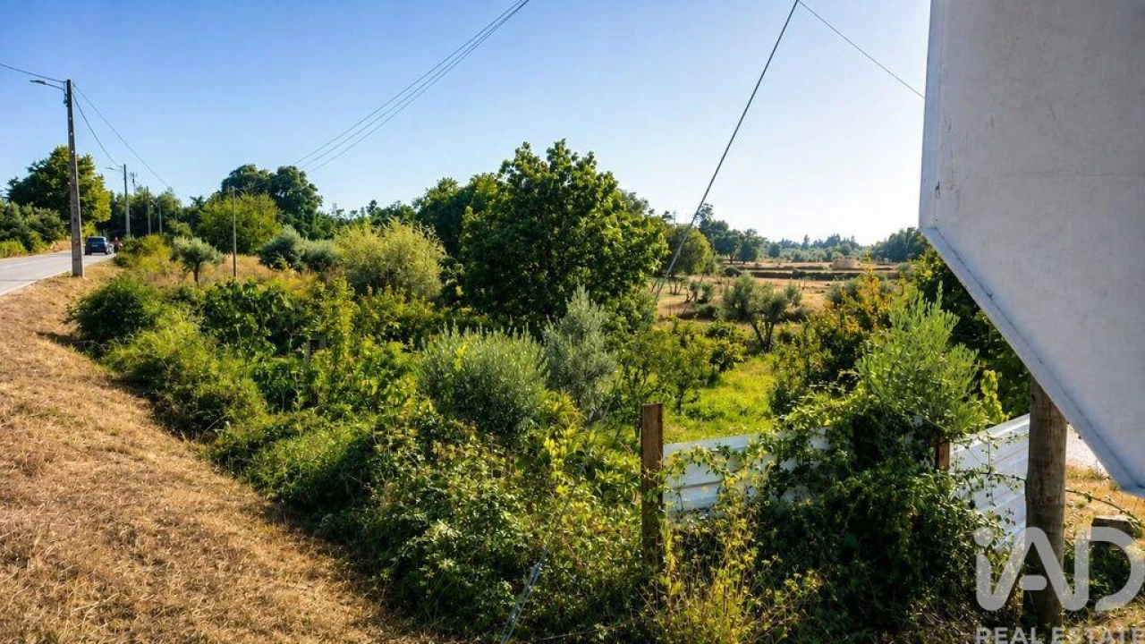 Terreno para Venda em Seixo da Beira Foto 36