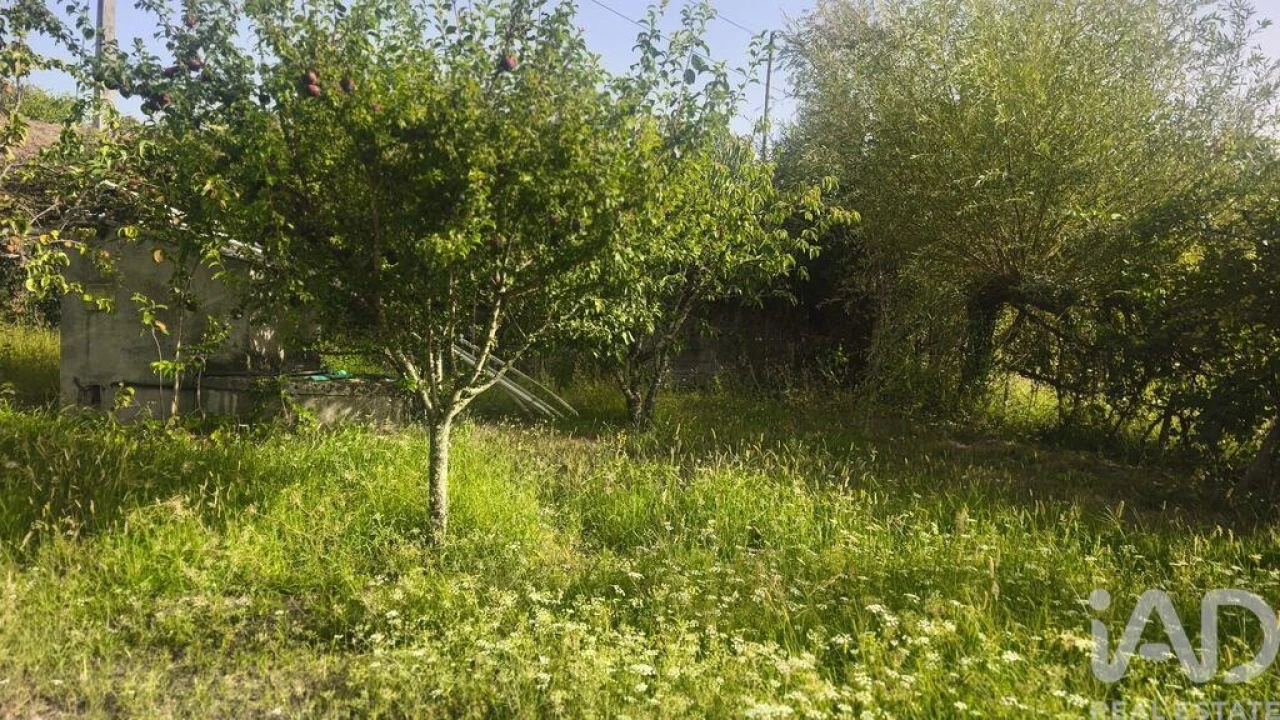 Terreno para Venda em Seixo da Beira Foto 21